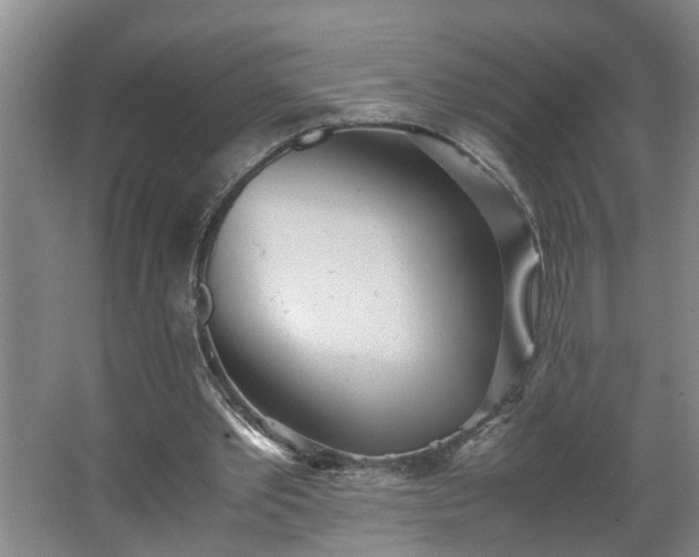 X0000062600389200512281404