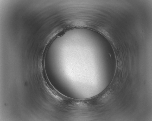 X0000062600390200512281404