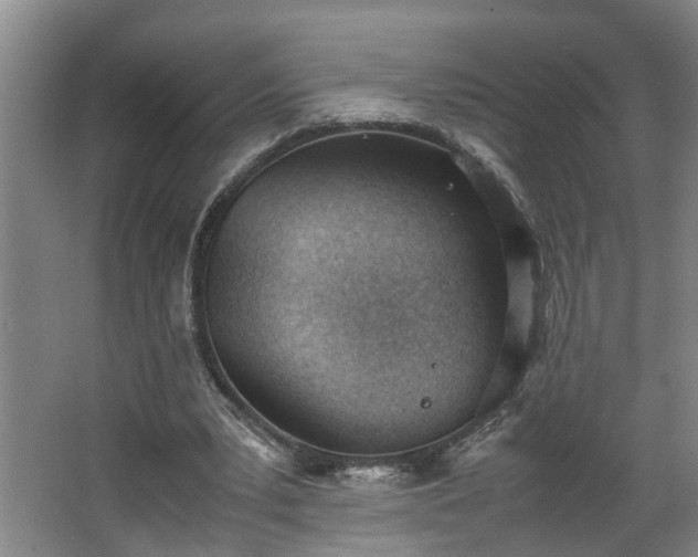 X0000062600391200512281404