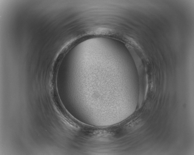 X0000062600392200512281404