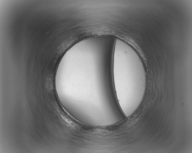 X0000062600393200512281404