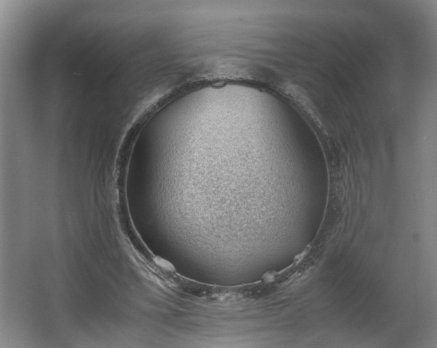 X0000062600395200512281404