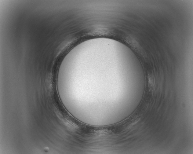 X0000062600396200512281404