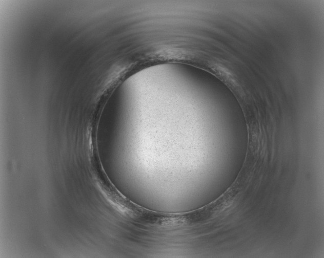 X0000062600398200512281404