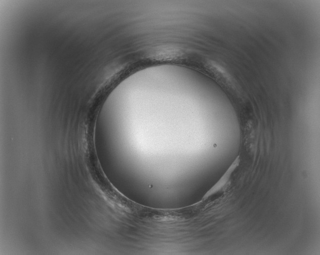 X0000062600400200512281404