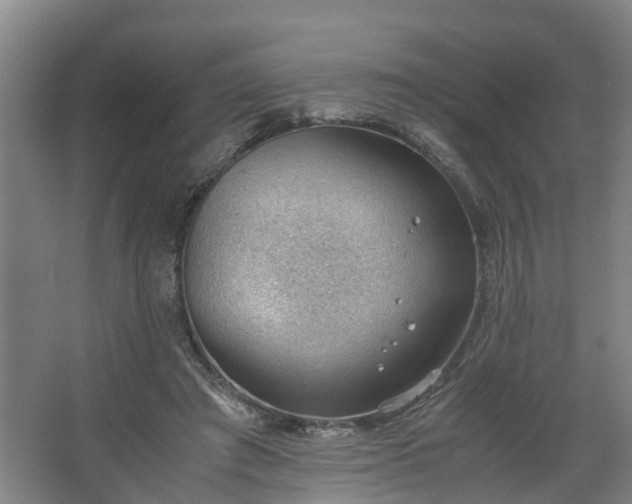 X0000062600401200512281404