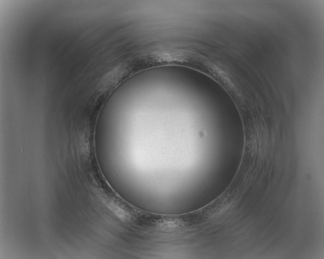 X0000062600402200512281404