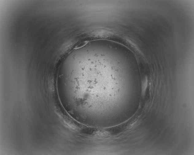 X0000062600403200512281404