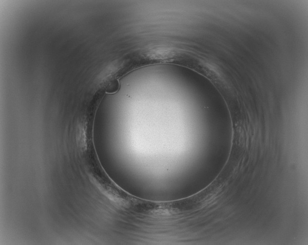 X0000062600404200512281403