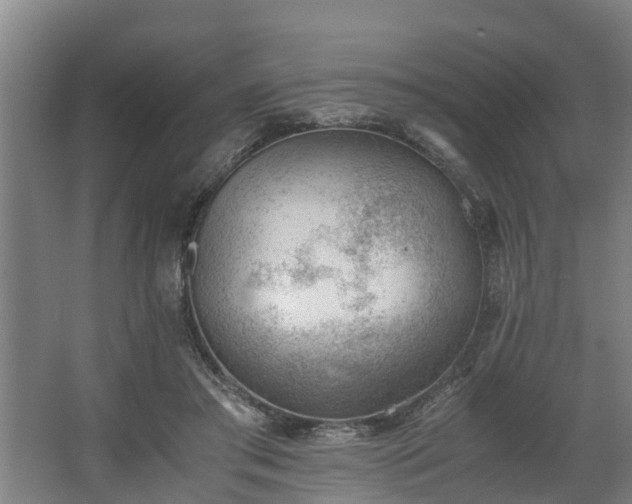 X0000062600405200512281403