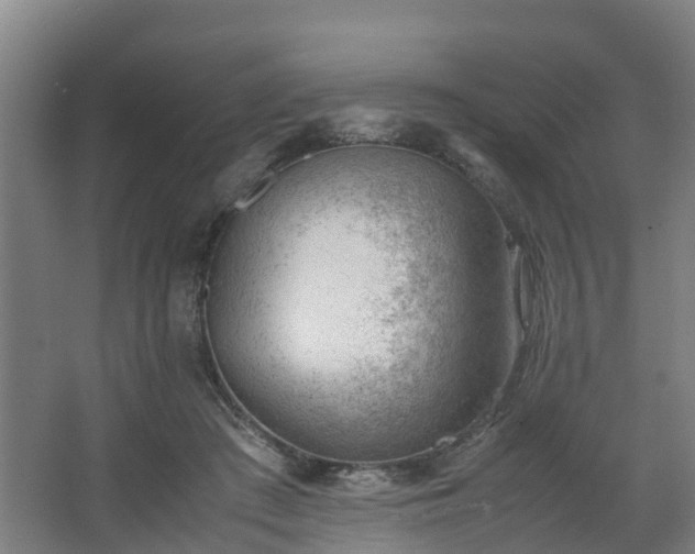 X0000062600409200512281403