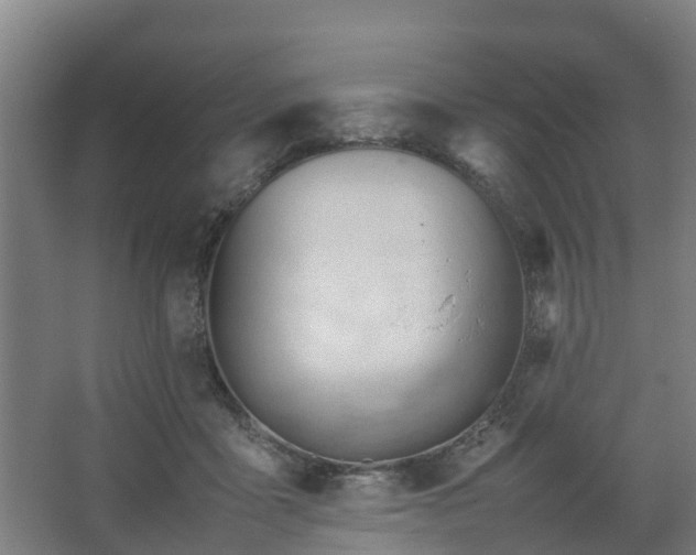 X0000062600411200512281403