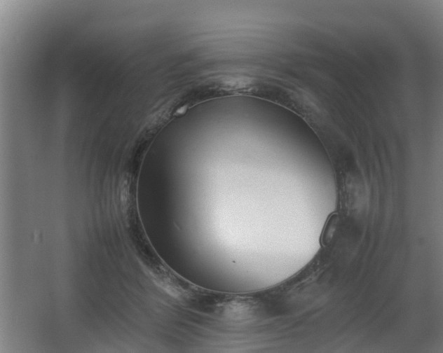 X0000062600412200512281403