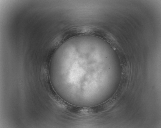 X0000062600415200512281403