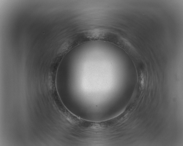 X0000062600416200512281403