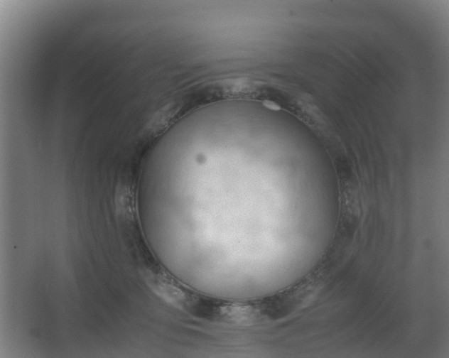 X0000062600419200512281403