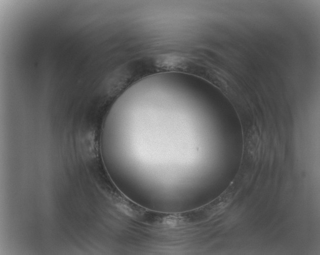 X0000062600420200512281403