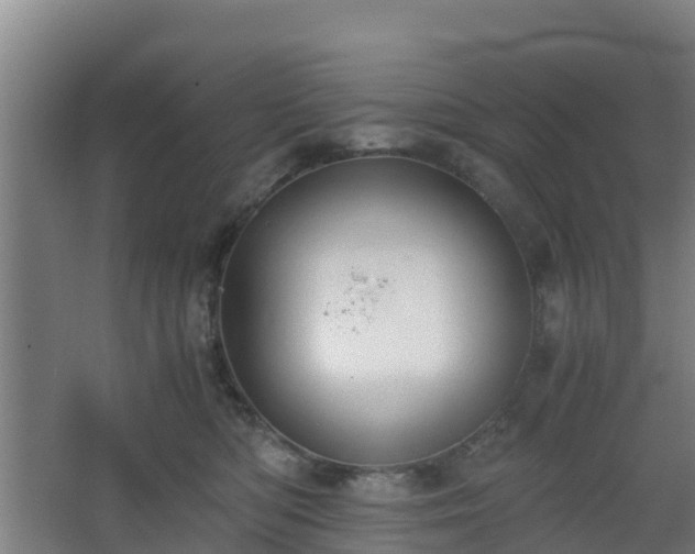 X0000062600422200512281403