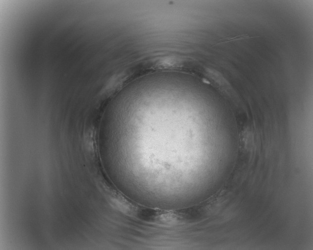 X0000062600423200512281403