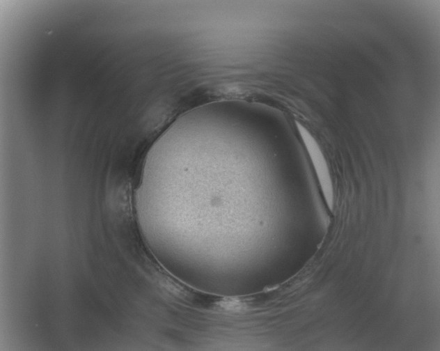 X0000062600425200512281403