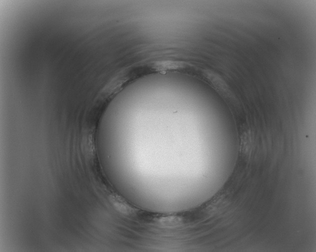 X0000062600426200512281403