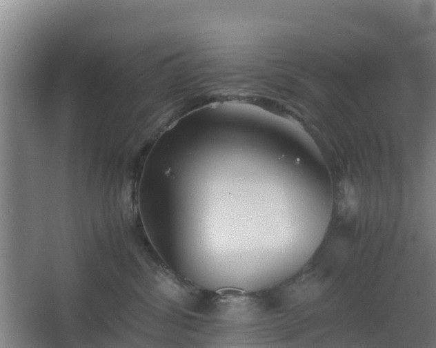 X0000062600428200512281403