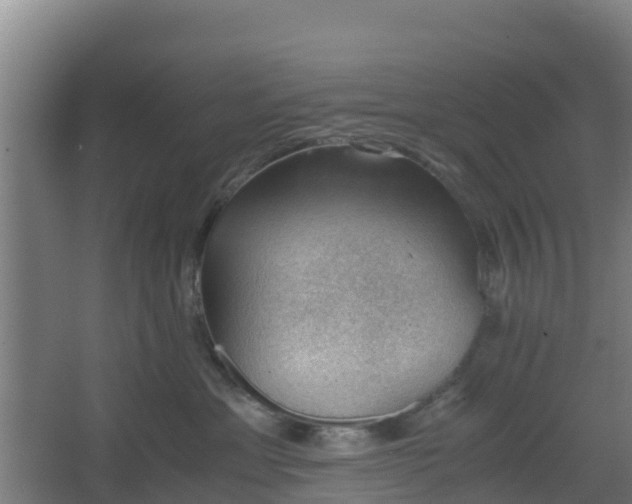 X0000062600429200512281403