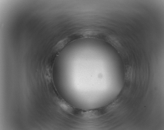 X0000062600430200512281403