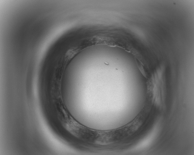 X0000062600431200512281403