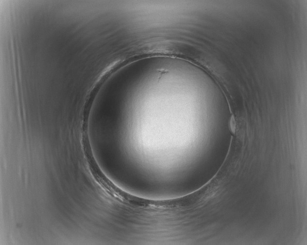 X0000062600434200512281402