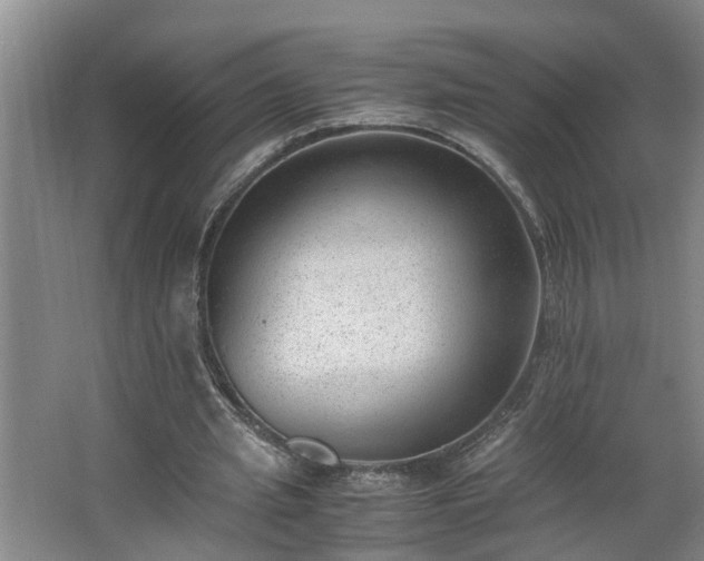 X0000062600437200512281402