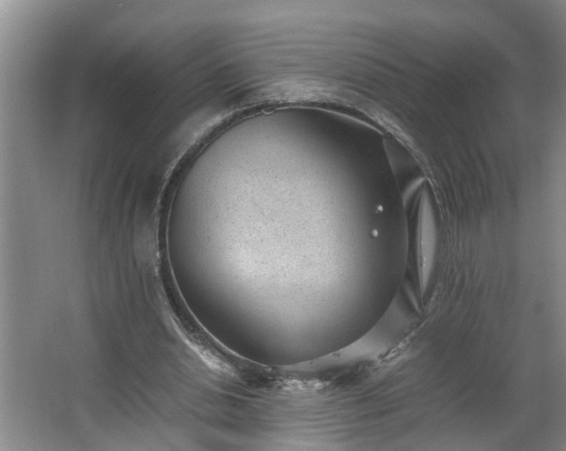 X0000062600438200512281402