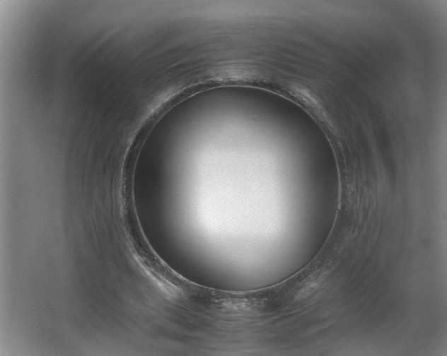 X0000062600439200512281402