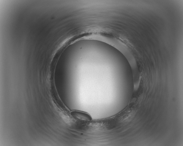 X0000062600440200512281402