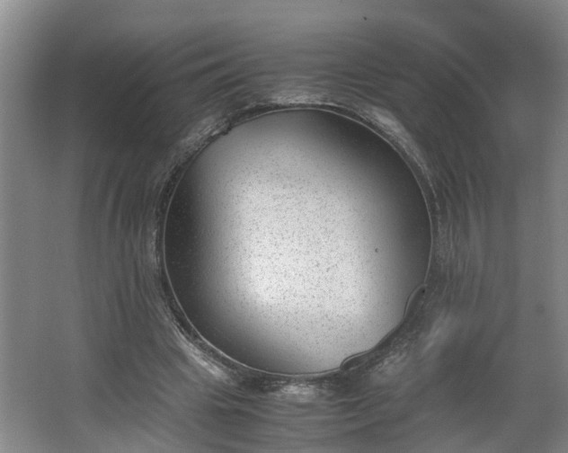 X0000062600441200512281402