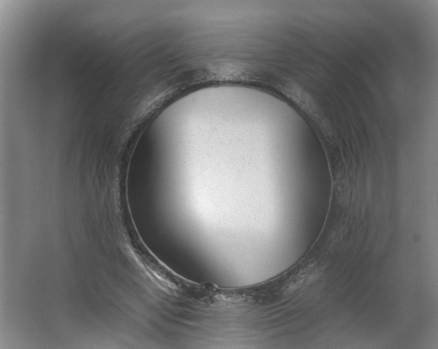 X0000062600442200512281402