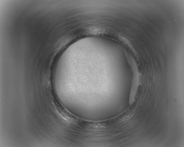 X0000062600443200512281402