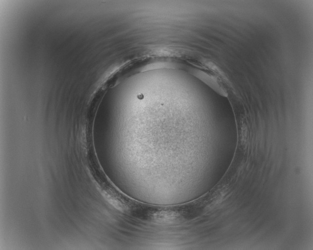 X0000062600444200512281402