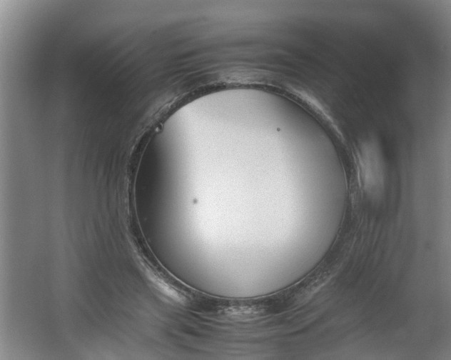 X0000062600445200512281402