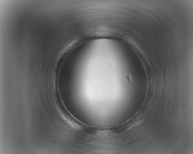 X0000062600446200512281402