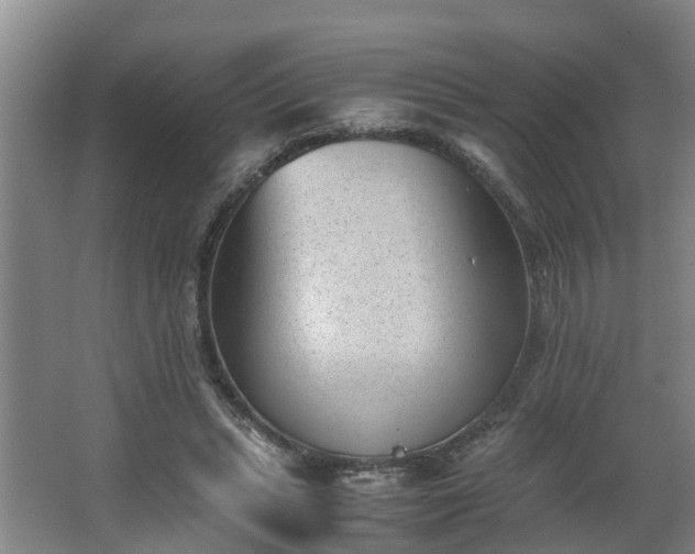 X0000062600447200512281402