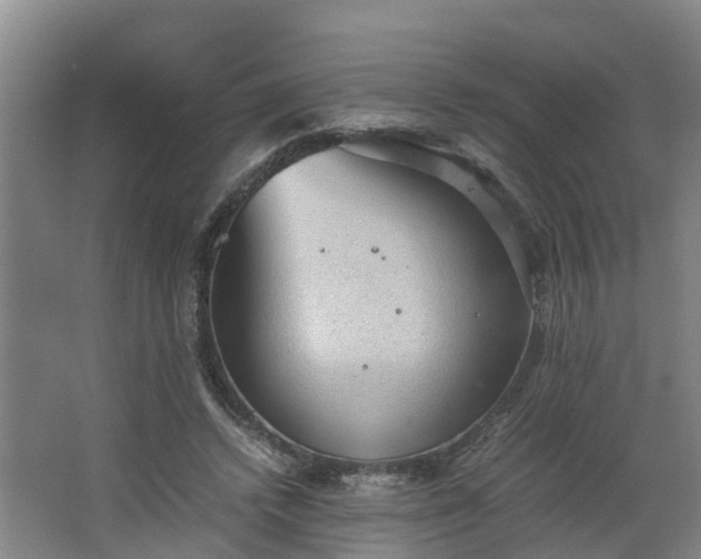 X0000062600448200512281402