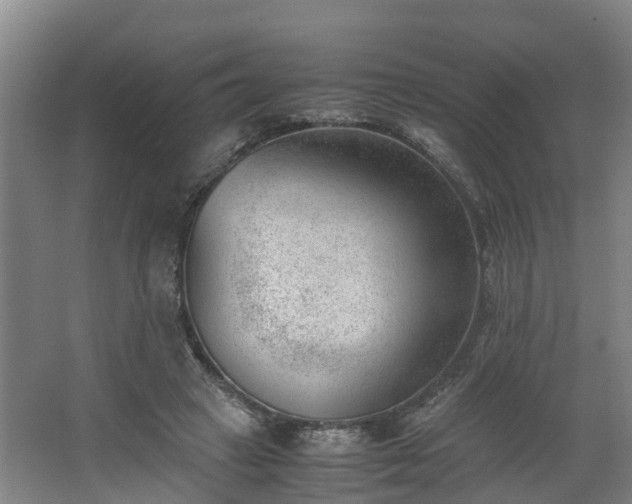 X0000062600449200512281402