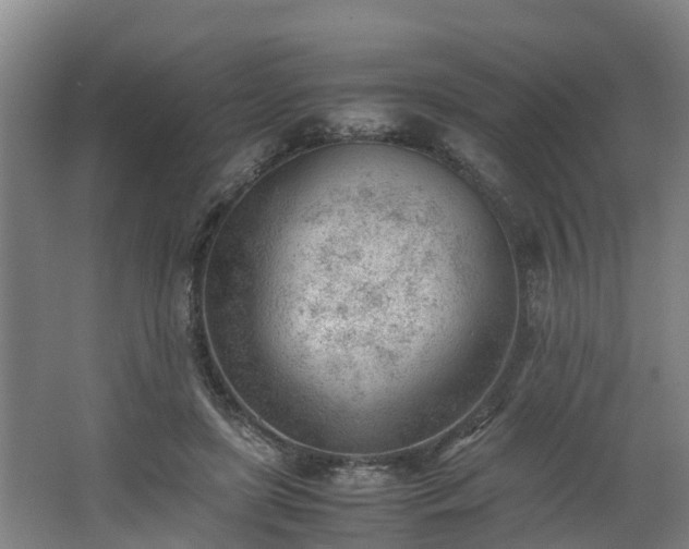 X0000062600451200512281403