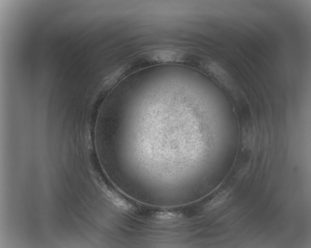 X0000062600453200512281403