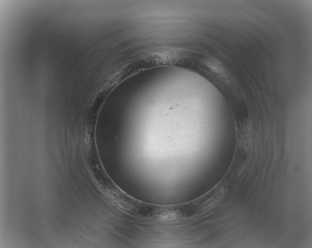 X0000062600456200512281403