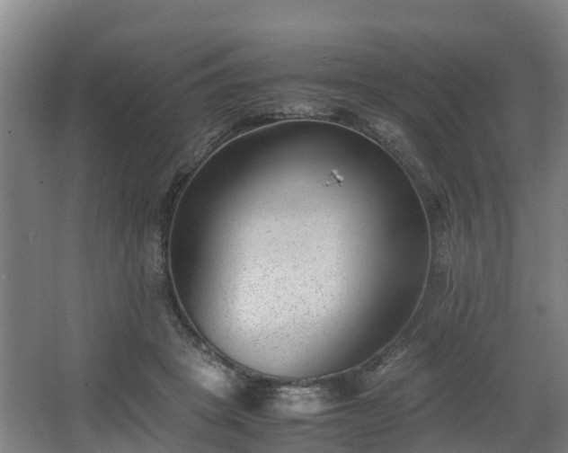 X0000062600457200512281403