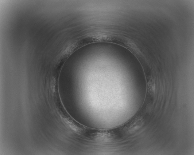 X0000062600458200512281403