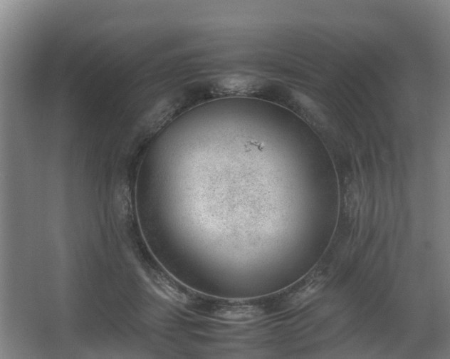 X0000062600459200512281403