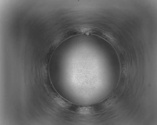 X0000062600461200512281403